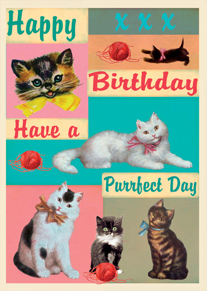 LG04 - Happy Birthday Purrfect Day Greeting Card