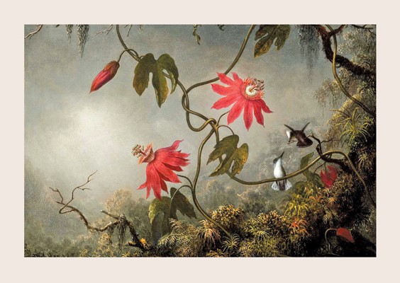 Martin Johnson Heade