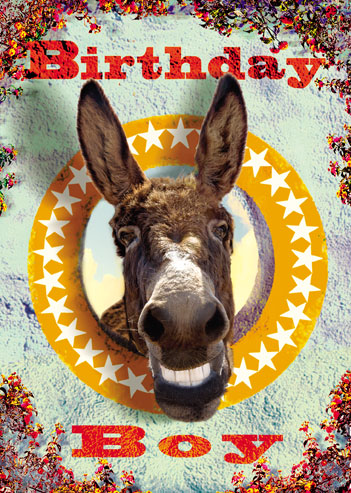 Birthday Boy Donkey Greeting Card by Max Hernn - Click Image to Close