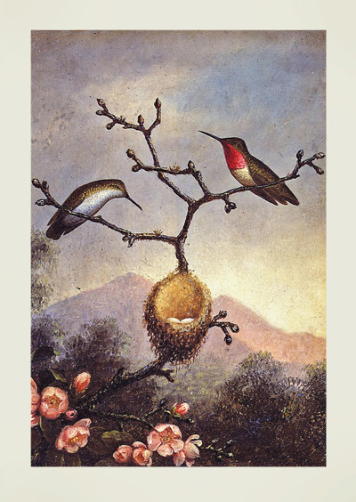 Ruby Throats With Apple Blossoms by Martin Johnson Heade