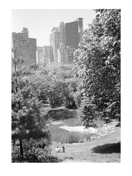 Magnitude of Central Park 40x30cm B&W Print by Max Hernn