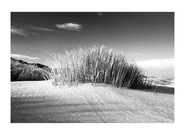 Marram Grass Landscape - 40 x 30cm B&W Print by Max Hernn