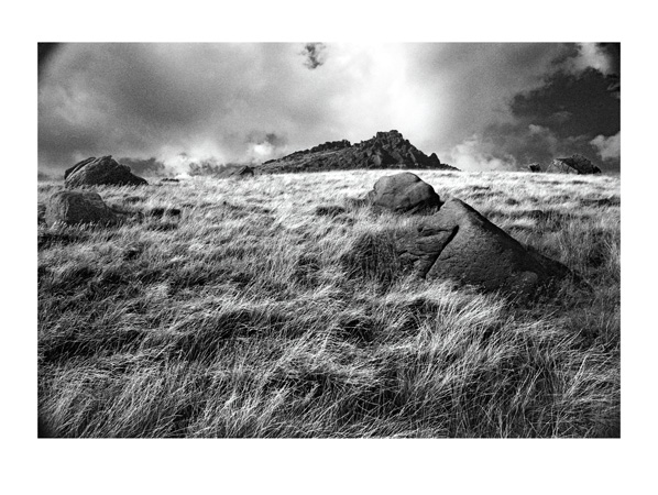 On The Plains - 40 x 30cm Black & White Print by Max Hernn