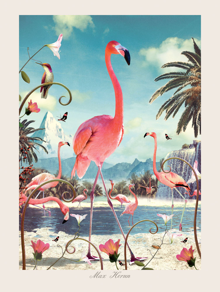 Standing Flamingo 40x30 cm Print by Max Hernn - Click Image to Close