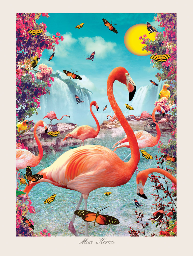 Flamingo 40x30 cm Print by Max Hernn