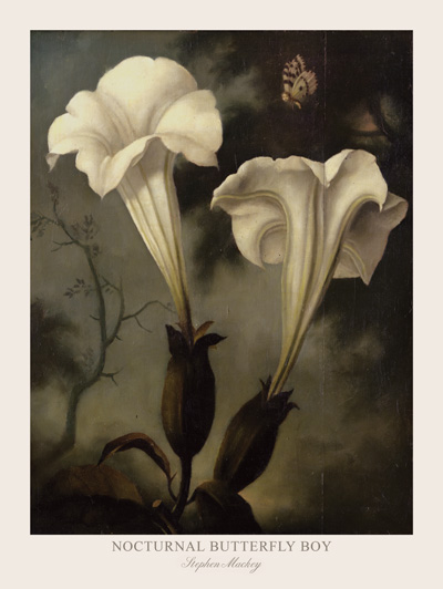 Nocturnal Butterfly Boy Signed Print by Stephen Mackey