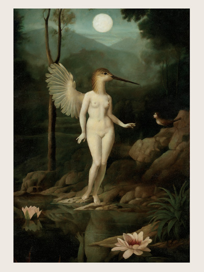 SMP47 - Galapagos 40 x 30cm Print by Stephen Mackey … - Click Image to Close