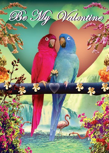 Be My Valentine Parrots Greeting Card