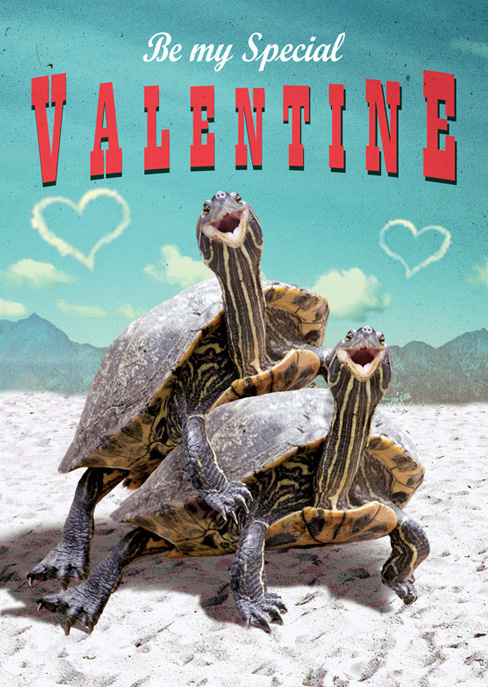 Turtles Valentines Greeting Card by Max Hernn - Click Image to Close