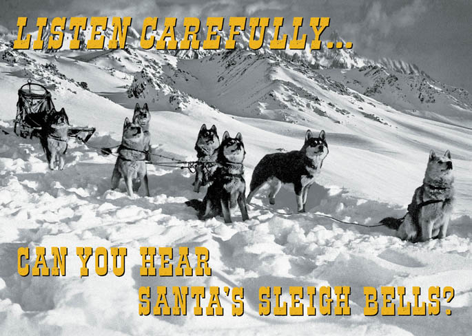 Huskies Christmas Greeting Card by Max Hernn