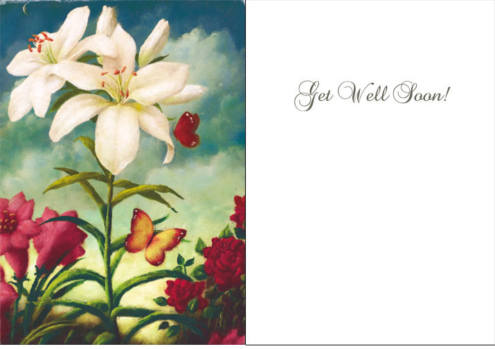 Get Well Soon White Flowers Greeting Card by Stephen Mackey - Click Image to Close