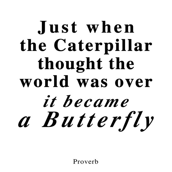 PW15 - Just When the Caterpillar... Greeting Card - Click Image to Close