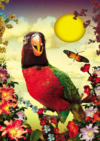 BC201 - Colourful Parrot Greeting Card by Max Hernn BC201 - Colourful Parrot Greeting Card by Max Hernn
