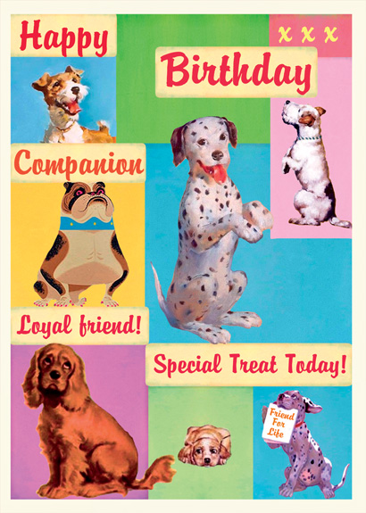 LG07 - Happy Birthday - Canine Companions Greeting Card
