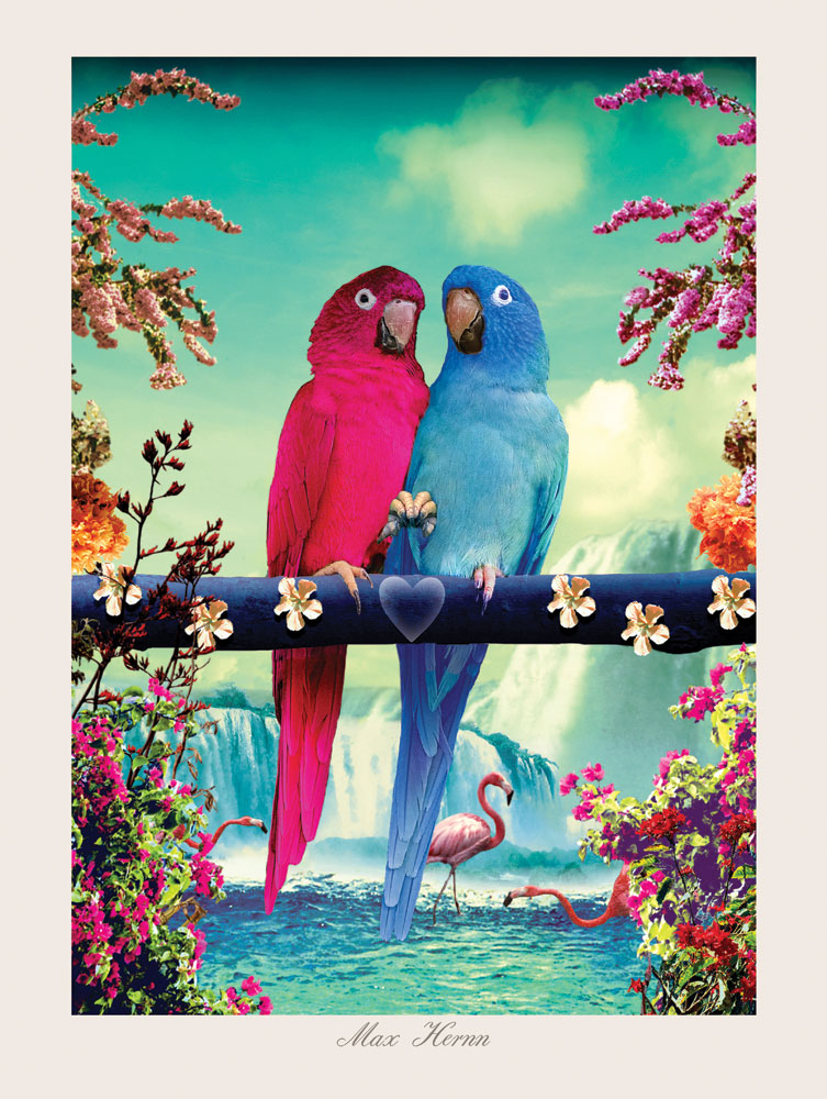 MHP10 - Parrots High Quality 40x30cm Print by Max Hernn