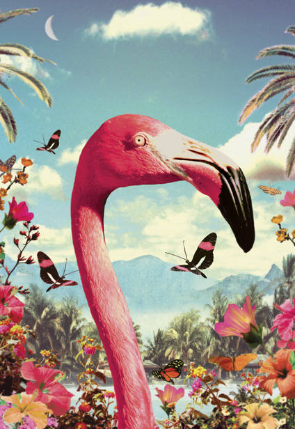 Flamingo Head Postcard by Max Hernn Flamingo Head Postcard by Max Hernn