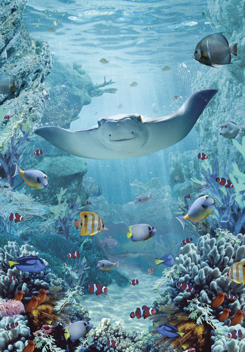 Manta Ray Individual Postcard by Max Hernn Manta Ray Individual Postcard by Max Hernn