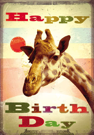 Happy Birthday Giraffe Postcard by Max Hernn Happy Birthday Giraffe Postcard by Max Hernn