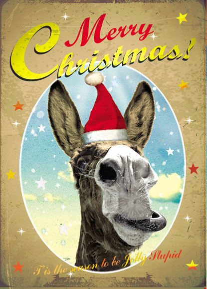 Jolly Stupid Donkey Pack of 5 Christmas Cards by Max Hernn
