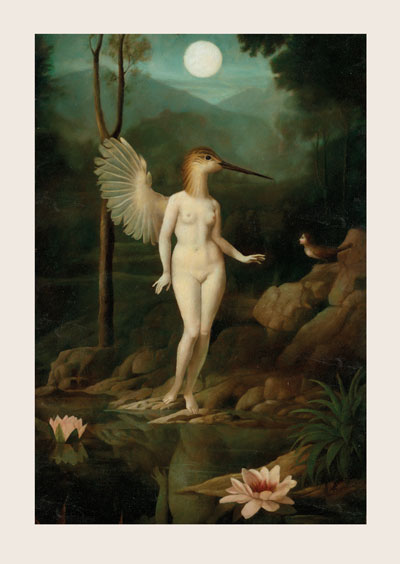 MC31 - Galapagos Greeting Card by Stephen Mackey MC31 - Galapagos Greeting Card by Stephen Mackey